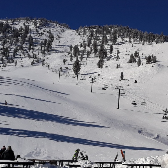 Meet your Posher, Dimitri - Picture 1 of 1